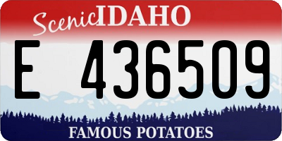 ID license plate E436509
