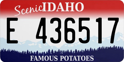 ID license plate E436517
