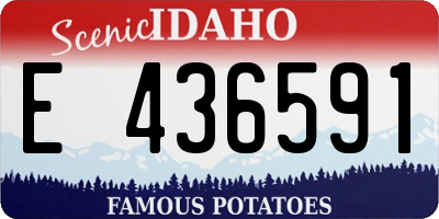 ID license plate E436591