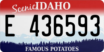 ID license plate E436593