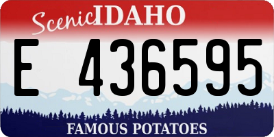 ID license plate E436595