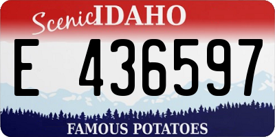 ID license plate E436597