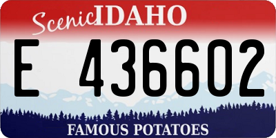 ID license plate E436602