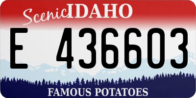 ID license plate E436603