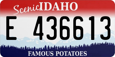 ID license plate E436613