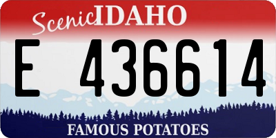 ID license plate E436614