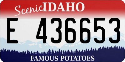 ID license plate E436653