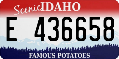 ID license plate E436658