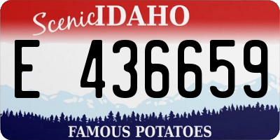 ID license plate E436659