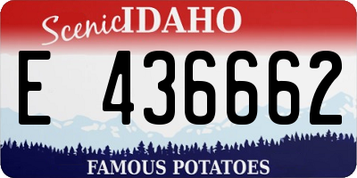 ID license plate E436662