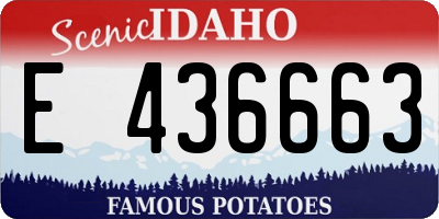 ID license plate E436663