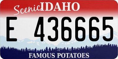 ID license plate E436665