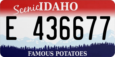 ID license plate E436677