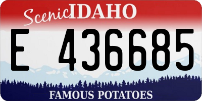 ID license plate E436685