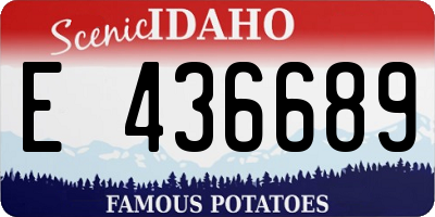 ID license plate E436689