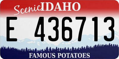 ID license plate E436713