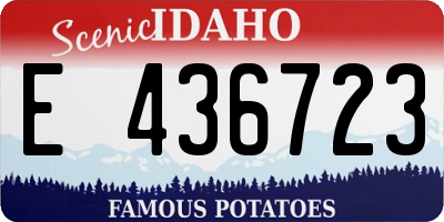 ID license plate E436723