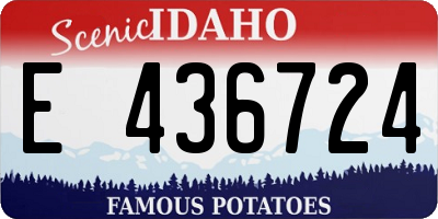 ID license plate E436724