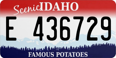 ID license plate E436729