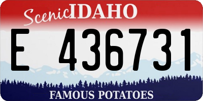 ID license plate E436731