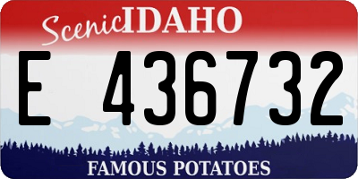 ID license plate E436732