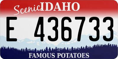 ID license plate E436733