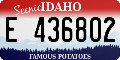 ID license plate E436802