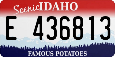 ID license plate E436813