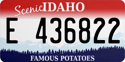 ID license plate E436822