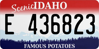 ID license plate E436823