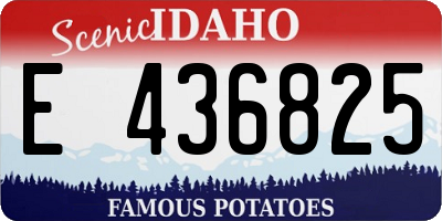ID license plate E436825