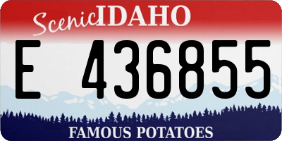ID license plate E436855