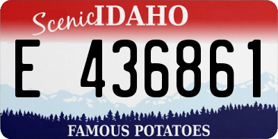 ID license plate E436861
