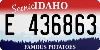 ID license plate E436863