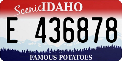 ID license plate E436878