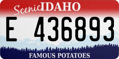 ID license plate E436893