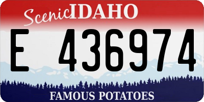 ID license plate E436974
