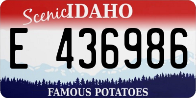 ID license plate E436986