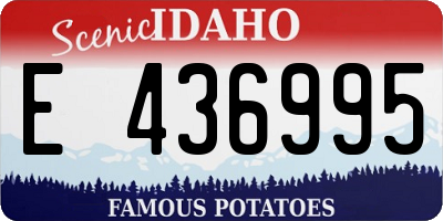 ID license plate E436995