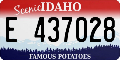 ID license plate E437028