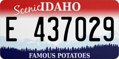 ID license plate E437029