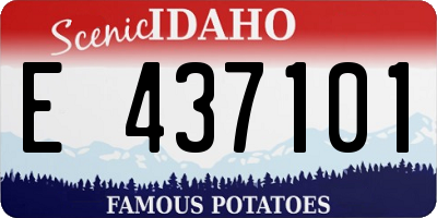 ID license plate E437101
