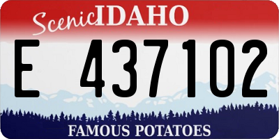 ID license plate E437102