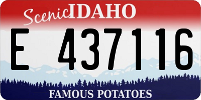 ID license plate E437116