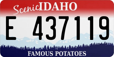 ID license plate E437119