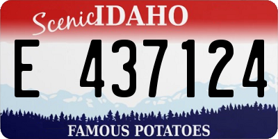 ID license plate E437124