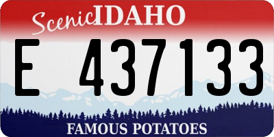 ID license plate E437133