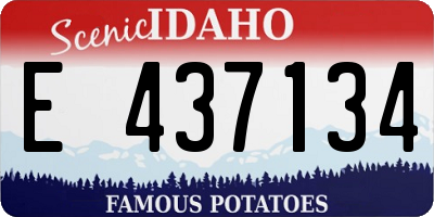 ID license plate E437134