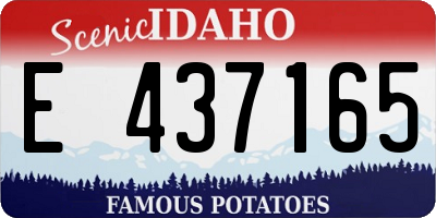 ID license plate E437165