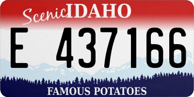 ID license plate E437166
